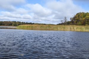 Lake Winnibigoshish